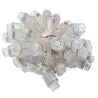 SM16704 RGBW Full Color 12mm Pixels digital adressierbare LED (5Volt) Side view
