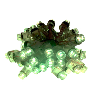 SM16704 RGBW LED 12mm pixel String (5V) 3000K