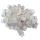 SM16704 RGBW Full Color 12mm Pixels digital adressierbare LED (5Volt) Side view